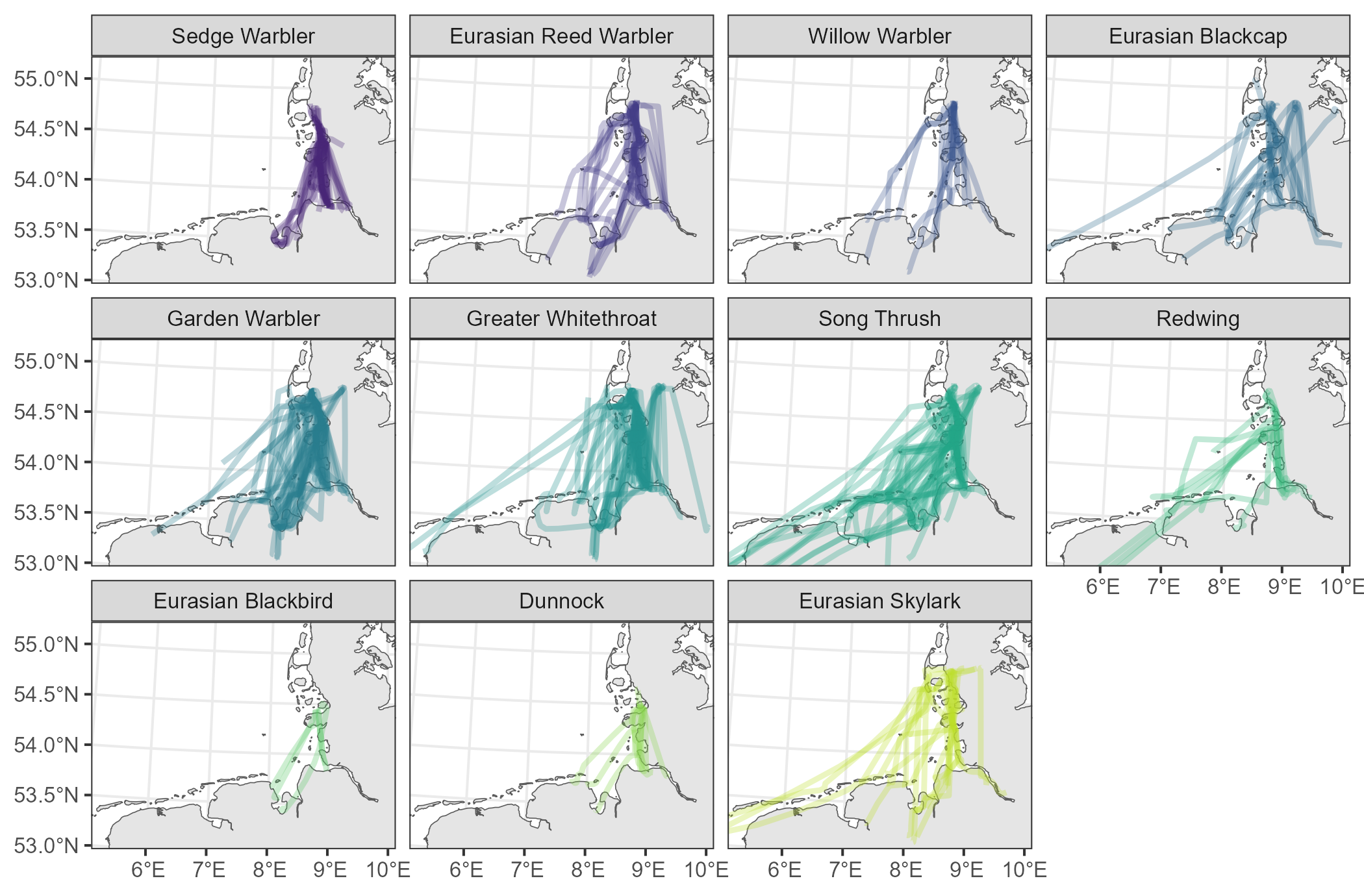 Modelled flight paths per species.